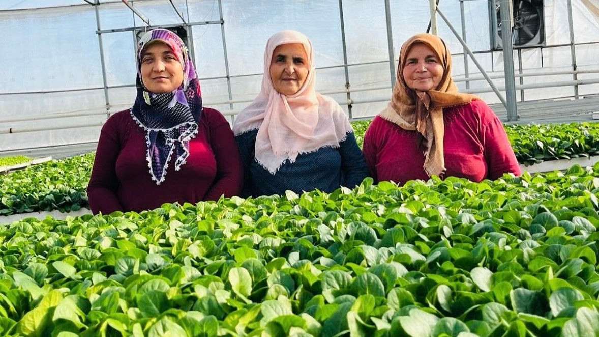 Kurşunlu fide - Tarım İşçisi (Maaş + Yol + Yemek)