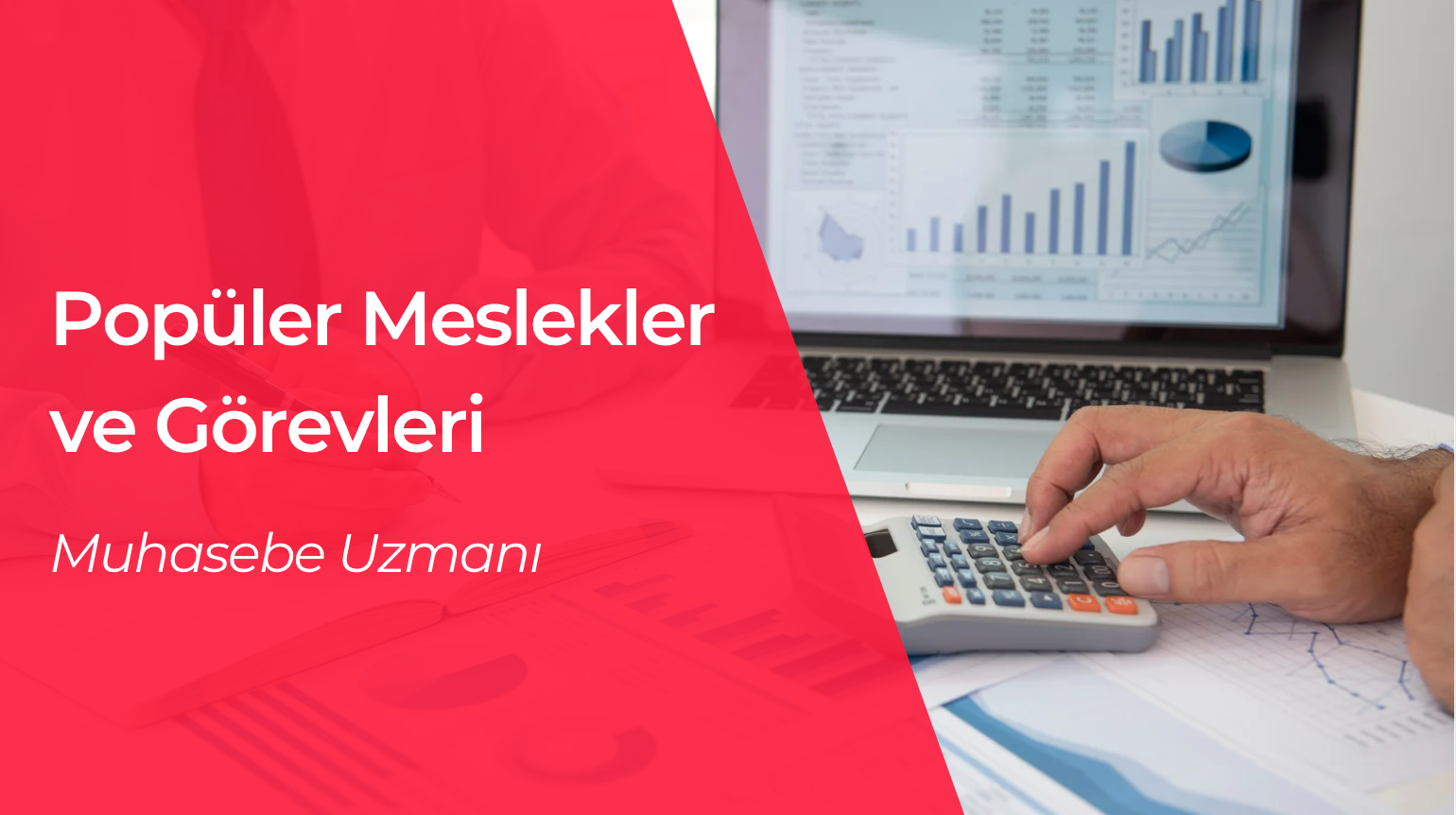 24 Saatte İş Uygulamasındaki Popüler Meslekler ve Görevleri: Muhasebe Uzmanı ((Rakamlarla Arası İyi, Vergilerle Arası Temkinli)