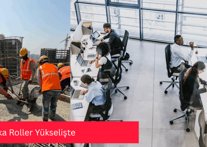 Gri Yaka Roller Yükselişte